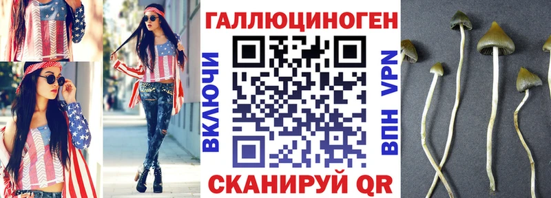 где продают наркотики  Сосновоборск  OMG как зайти  Галлюциногенные грибы Psilocybine cubensis 