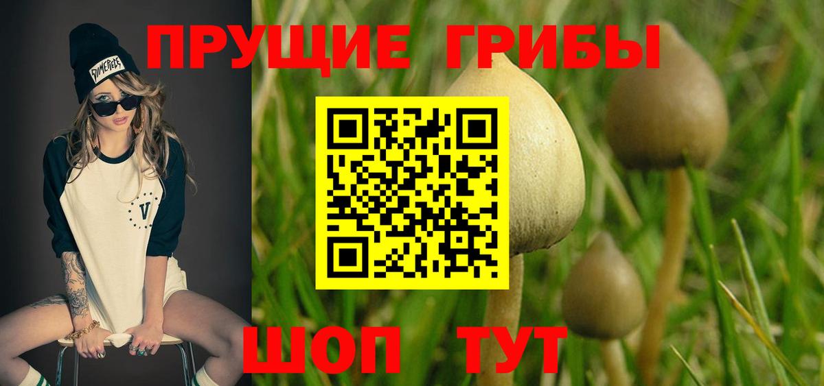 Псилоцибиновые грибы мухоморы  Вход с VPN  Сосновоборск 